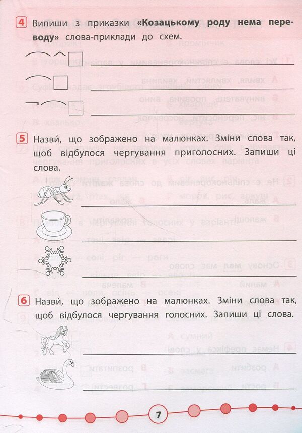 Ukrainian language. Tests. 3rd grade / Українська мова. Тести. 3 клас Ирина Таровитая 978-966-284-506-8-6