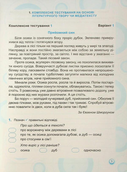 Ukrainian language and reading. Grade 4. Notebook for thematic and diagnostic evaluation / Українська мова та читання. 4 клас. Зошит для тематичного та діагностичного оцінювання Оксана Лабащук, Татьяна Решетуха 9789660740686-4
