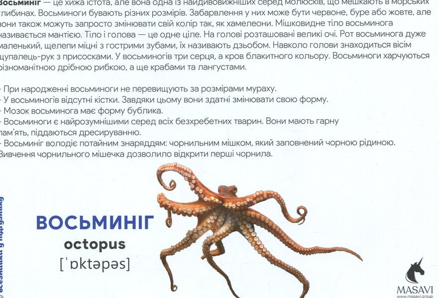 Underwater World Montessori Cards - Пдводний свт Монтессор-картки - Author not specified 9786177954001-4