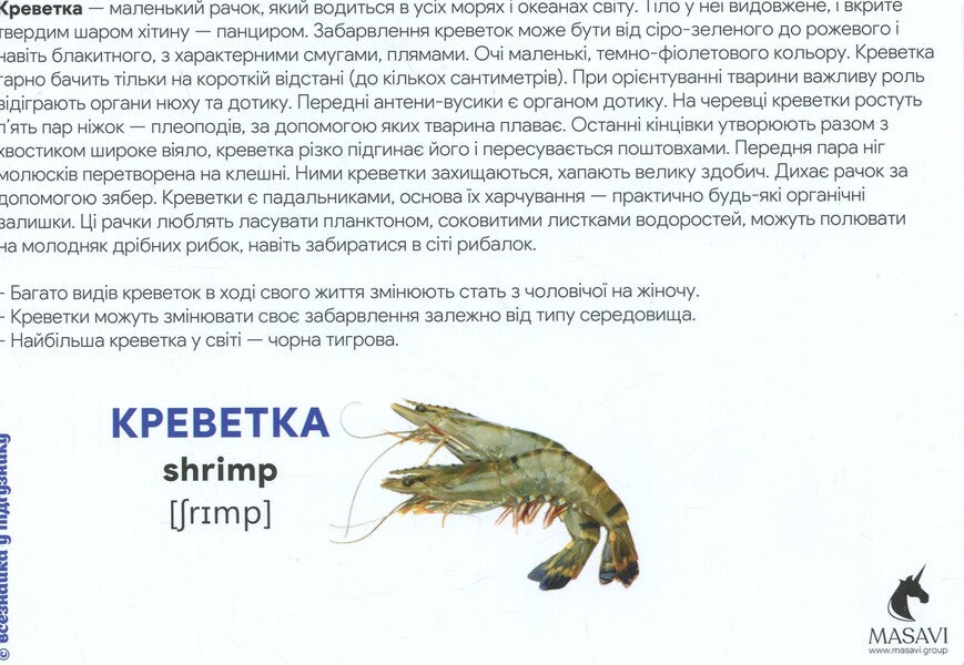 Underwater World Montessori Cards - Пдводний свт Монтессор-картки - Author not specified 9786177954001-6