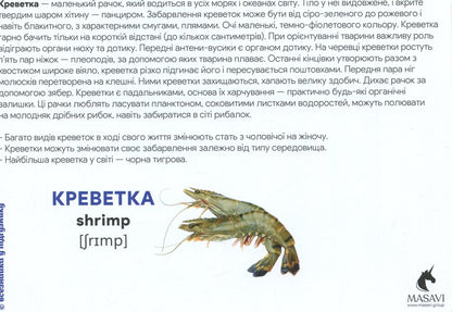 Underwater World Montessori Cards - Пдводний свт Монтессор-картки - Author not specified 9786177954001-6