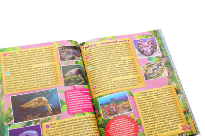 Underwater world.A big book / Підводний світ. Велика книга  978-617-536-860-2-5