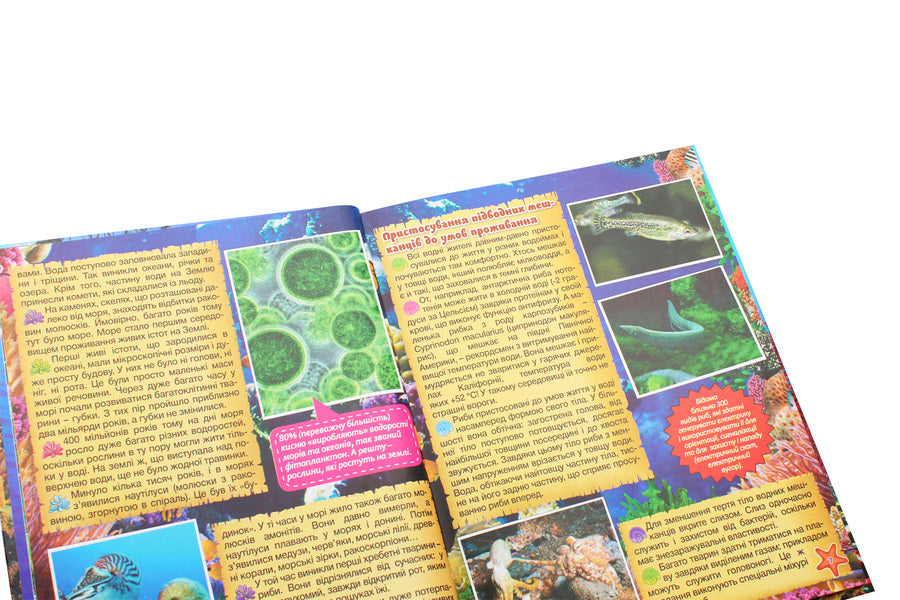 Underwater world. Children's Encyclopedia (Yellow) / Підводний світ. Дитяча енциклопедія (Жовта) Юлия Карпенко 9786175368596-5