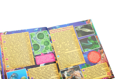 Underwater world. Children's Encyclopedia (Yellow) / Підводний світ. Дитяча енциклопедія (Жовта) Юлия Карпенко 9786175368596-5
