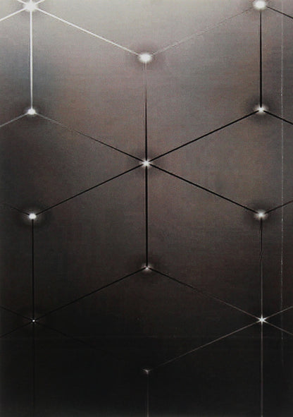 Union for the Liberation of Ukraine: 1914-1918. Vienna / Союз визволення України: 1914-1918. Відень  978-611-01-1824-8-2