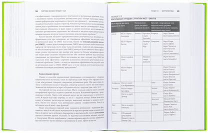 United States. Governance in States and Local Communities / Сполучені Штати Америки. Урядування у штатах і місцевих громадах Кевин Б. Смит, Алан Гринблатт 9786177962372-5