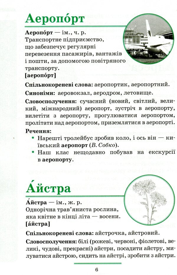 Universal dictionary of the Ukrainian language for younger schoolchildren / Універсальний словник української мови для молодших школярів Нина Косовцева 9789669250179-6