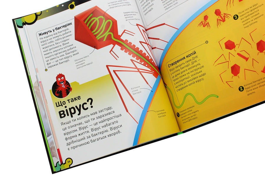 Unseen bacteria.Insolent bacilli, insidious viruses and cunning fungi / Небачені бактерії. Зухвалі бацили, підступні віруси та хитрі гриби Стив Молд 978-617-09-6741-1-6