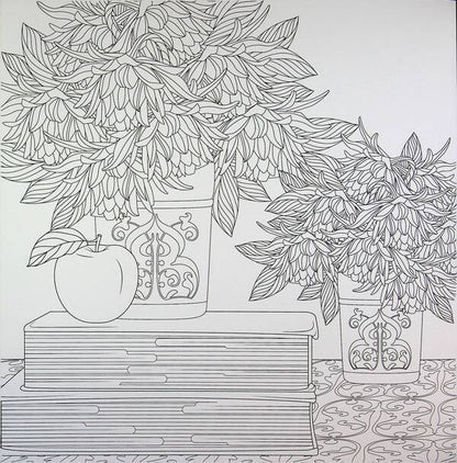 Urban jungle / Міські джунглі Сара Муцио 9786178287214-3