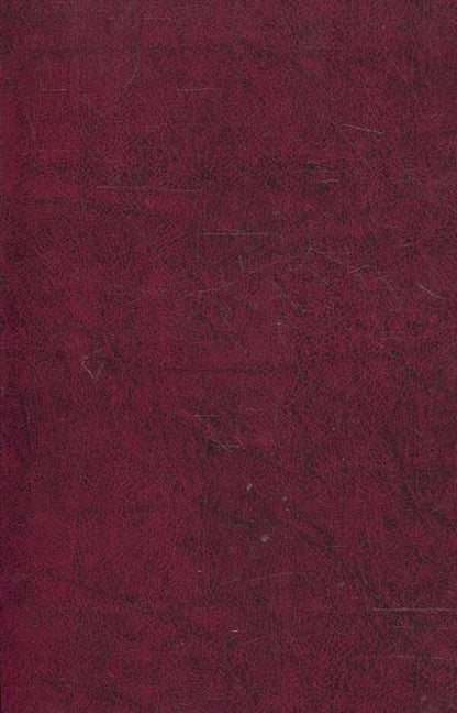 V. Svidzinskyi. Poetry / В. Свідзінський. Поезiї Владимир Свидзинский 978-966-03-5110-3-2