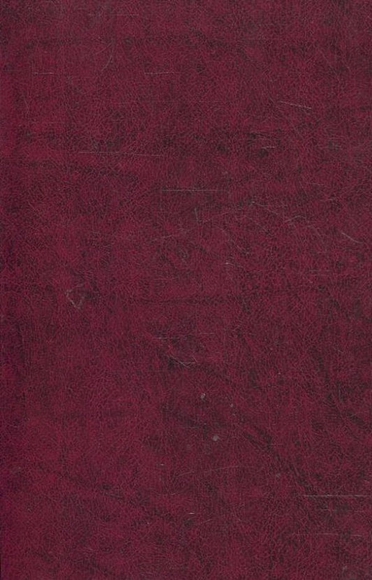 V. Svidzinskyi. Poetry / В. Свідзінський. Поезiї Владимир Свидзинский 978-966-03-5110-3-2