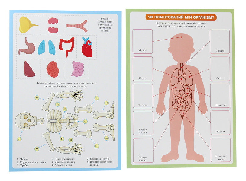 Valeology for preschoolers / Валеологія для дошкільнят Любовь Яковенко, Ольга Бойко 9789667505264-4