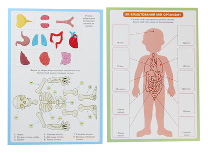 Valeology for preschoolers / Валеологія для дошкільнят Любовь Яковенко, Ольга Бойко 9789667505264-4