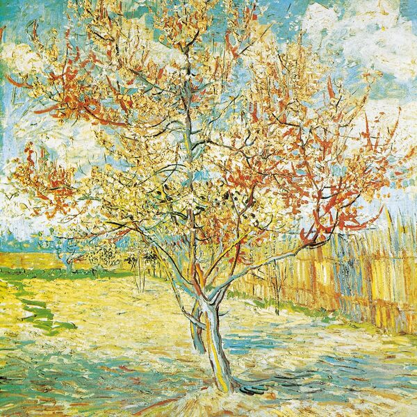 Van Gogh. From Vincent's Garden 2026 / Author not specified 9783959295611-4