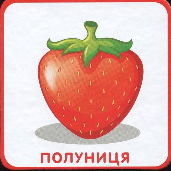 Vegetables and fruits. The plant world on the cards / Овочі та фрукти. Рослинний світ на картках  978-966-97268-7-2-4