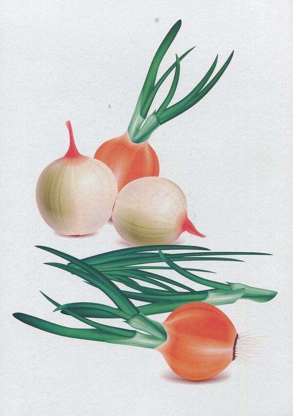 Vegetables, fruits, berries. Demonstration cards / Овочі, фрути, ягоди. Демонстраційні картки Оксана Корнеева, Георгий Давидов 978-966-07-2352-8-3