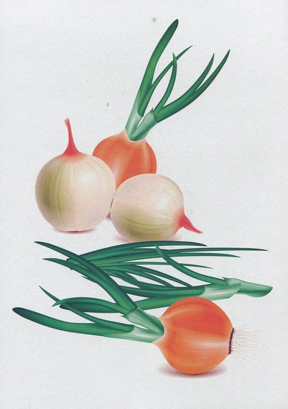 Vegetables, fruits, berries. Demonstration cards / Овочі, фрути, ягоди. Демонстраційні картки Оксана Корнеева, Георгий Давидов 978-966-07-2352-8-3
