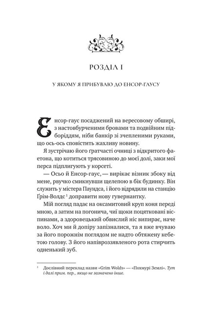 Victorian Psychopath - Вкторанська психопатка Virginia Feyto - Врджиня Фейто 9786171715028-6