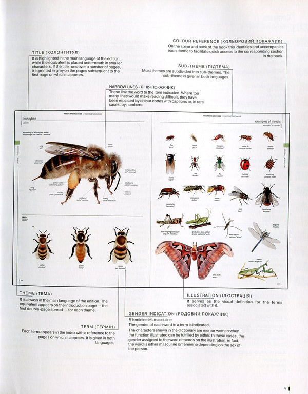 Visual dictionary. English and French languages ​​/ Visual English Dictionary / Visuel Dictionaire Francais / Візуальний словник. Англійська та французька мови / Visual English Dictionary / Visuel Dictionaire Francais  978-966-569-226-3-4