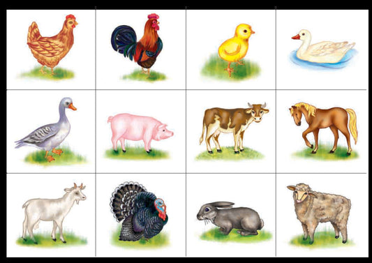 Visualization Kit We Learn English. In 5 Parts. Part 5. Grades 1-4 / Комплект наочності We learn English. У 5 частинах. Частина 5. 1-4 класи Iryna Dotsenko, Oksana Evchuk / Ирина Доценко, Оксана Евчук 9789661027229-2