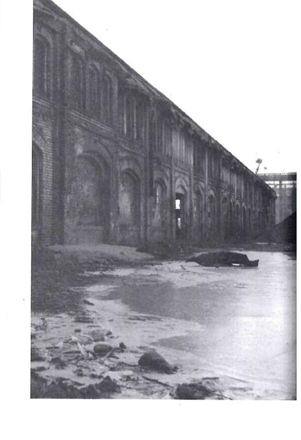 Voices / Голоси Ян Польковский 978-617-692-647-4-6