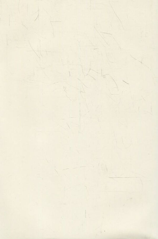 Volodymyr Vynnychenko. Diary. Volume 4 (1929-1931) / Володимир Винниченко. Щоденник. Том 4 (1929-1931)  978-966-2164-67-1-2