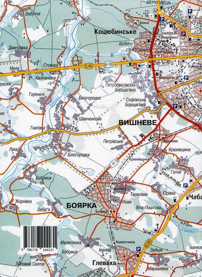 WE ARE STAYING. Diary / МИ ЗАЛИШАЄМОСЯ. Щоденник Дария Китайгородская 9786178244231-2