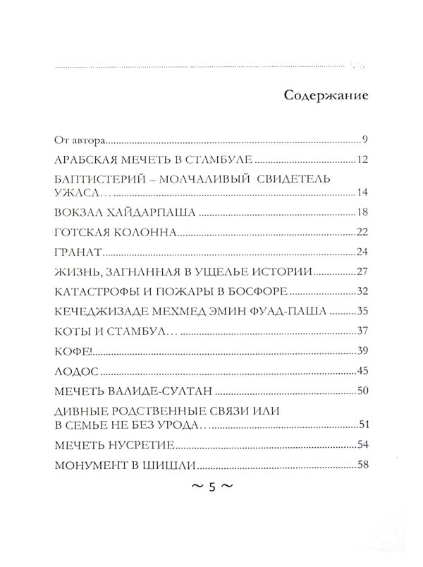 Walks with a psychologist. Istanbul / Прогулки с психологом. Стамбул Андрей Кузьменко 978-617-7721-29-0-3