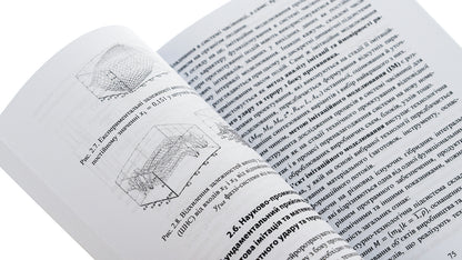 War economy / Воєнна економіка Пётр Лисовский, Юлия Лисовская 9786175205952-5