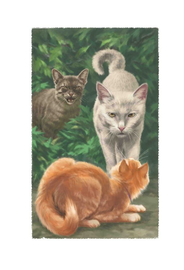 Warrior Cats Free! - Коти-вояки На волю! Erin Hunter - Ерн Хантер 9786178510480-6