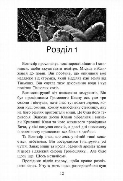 Warrior cats.The Way of Firesight / Коти-вояки. Шлях Вогнезора Эрин Хантер 978-617-7385-45-4, 9786177385454-4