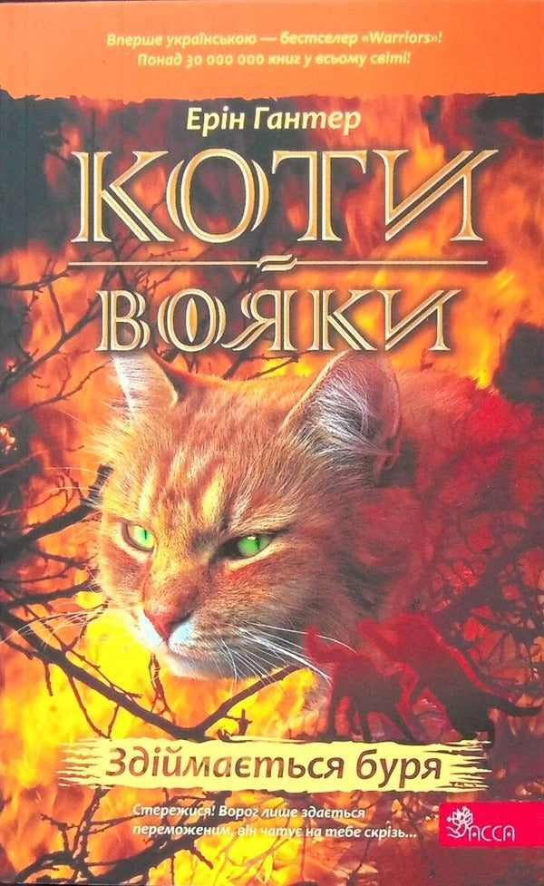 Warrior cats. Book 4. The storm is rising / Коти-вояки. Книга 4. Здіймається буря Эрин Хантер 978-617-8229-51-1-1