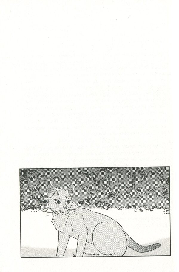 Warrior cats. Manga 6. Tigrozir and Sasha. Escape from the forest / Коти-вояки. Манґа 6. Тигрозір і Саша. Втеча з лісу Эрин Хантер 9786178229344-6