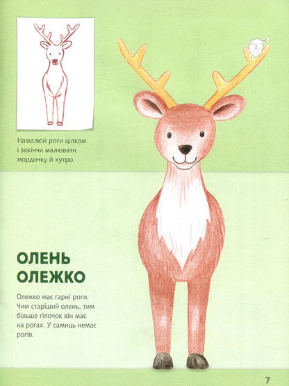 We Draw Animals Europe And Asia - Малюмо тварин вропа та Азя Korina Boerenmeister - Корнна Беренмейстер 9789667482701-5