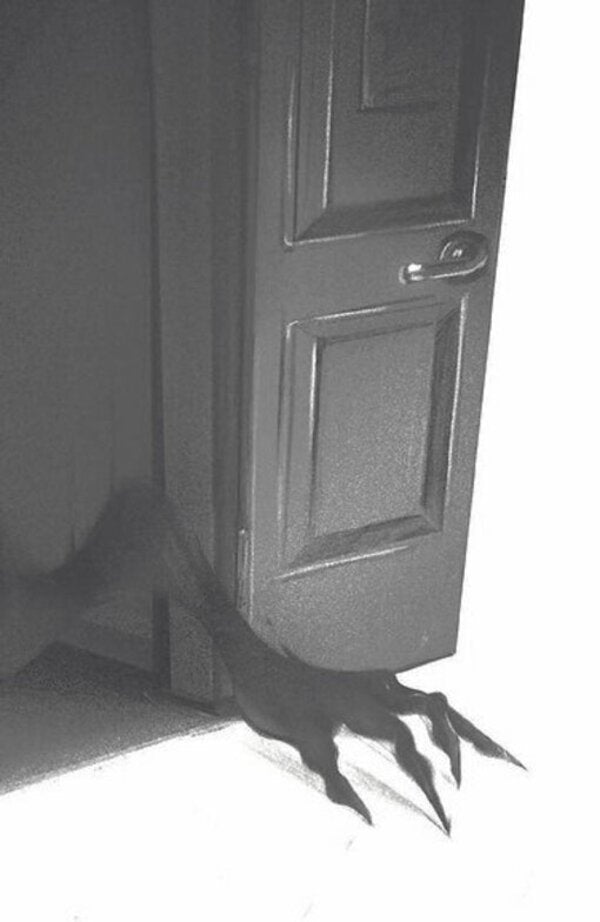 We Have Incidents At Home - нциденти в нас удома Josh Malerman - Джош Малерман 9786175226377-2