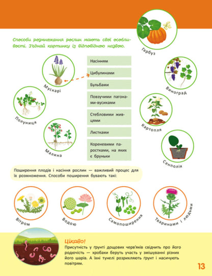 We Know The World. Step III / Пізнаємо світ. III крок Yana Kisileva / Яна Кісілева 9786170993120-3