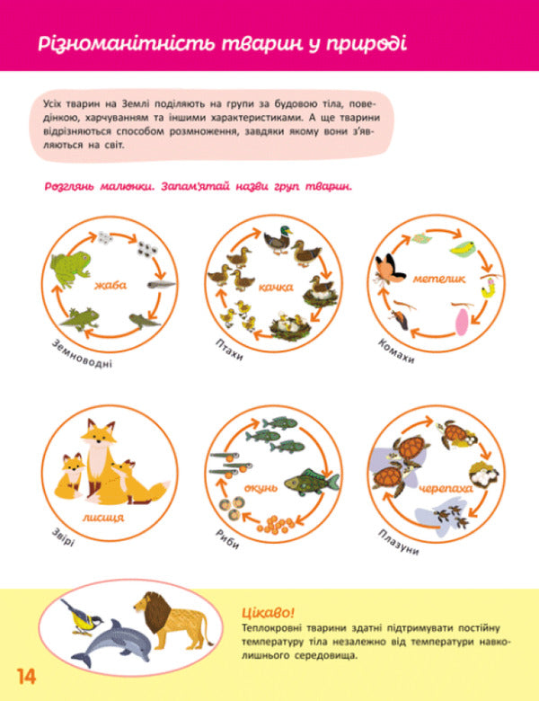 We Know The World. Step III / Пізнаємо світ. III крок Yana Kisileva / Яна Кісілева 9786170993120-4