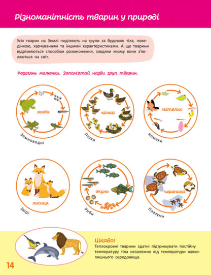 We Know The World. Step III / Пізнаємо світ. III крок Yana Kisileva / Яна Кісілева 9786170993120-4