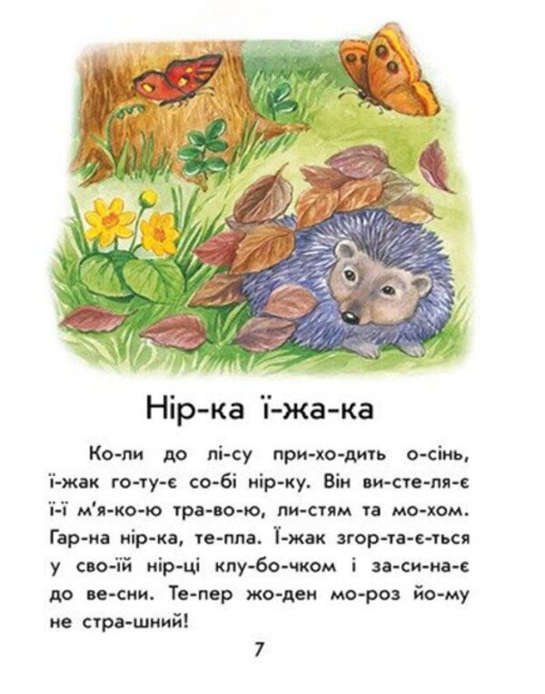 We Read By Syllables How A Cat Learned To Read - Читамо по складах Як кт читати навчився Yulia Kasparova - Юля Каспарова 9786178933739-3