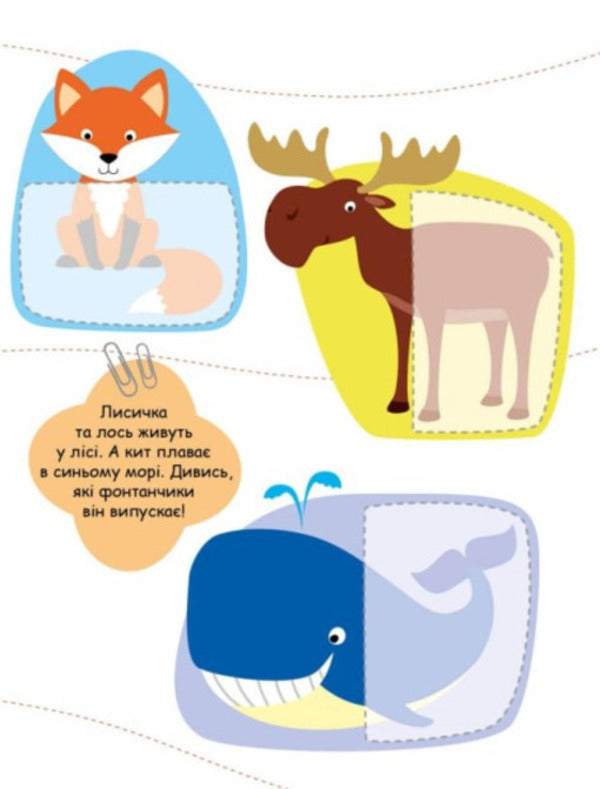 We are looking for partners. Animals (+ stickers) / Шукаємо половинки. Тварини (+ наліпки) Алена Пуляева 9789667512637-3