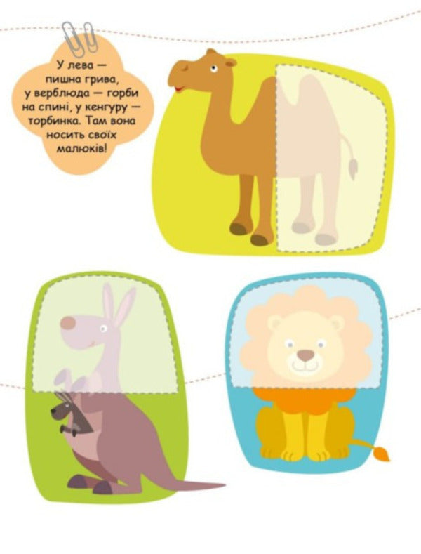We are looking for partners. Animals (+ stickers) / Шукаємо половинки. Тварини (+ наліпки) Алена Пуляева 9789667512637-5