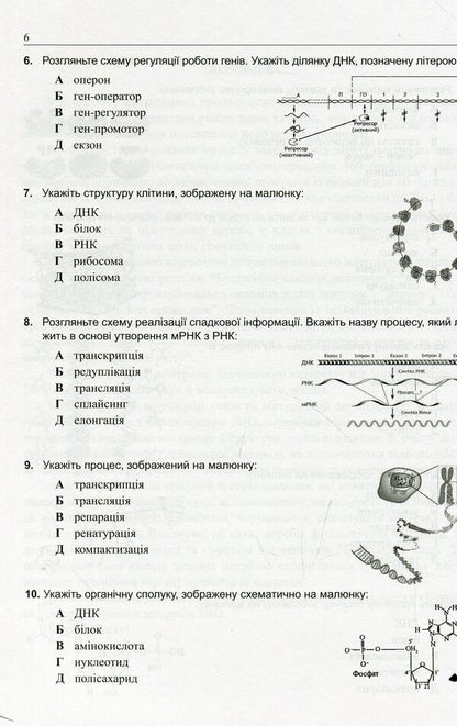 We are preparing for external independent assessment. A collection of graphic test tasks in biology / Готуємося до зовнішнього незалежного оцінювання. Збірник графічних тестових завдань з біології Валерий Виркун 978-966-634-938-8, 978-966-634-432-1-6