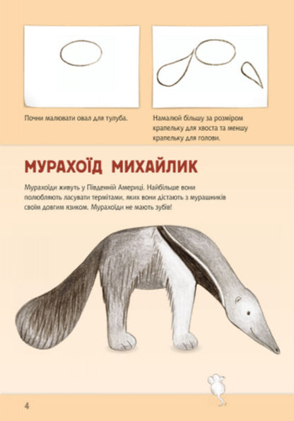We draw animals.North and South America / Малюємо тварин. Північна та Південна Америка Корина Бойренмайстер 978-966-748-272-5-6