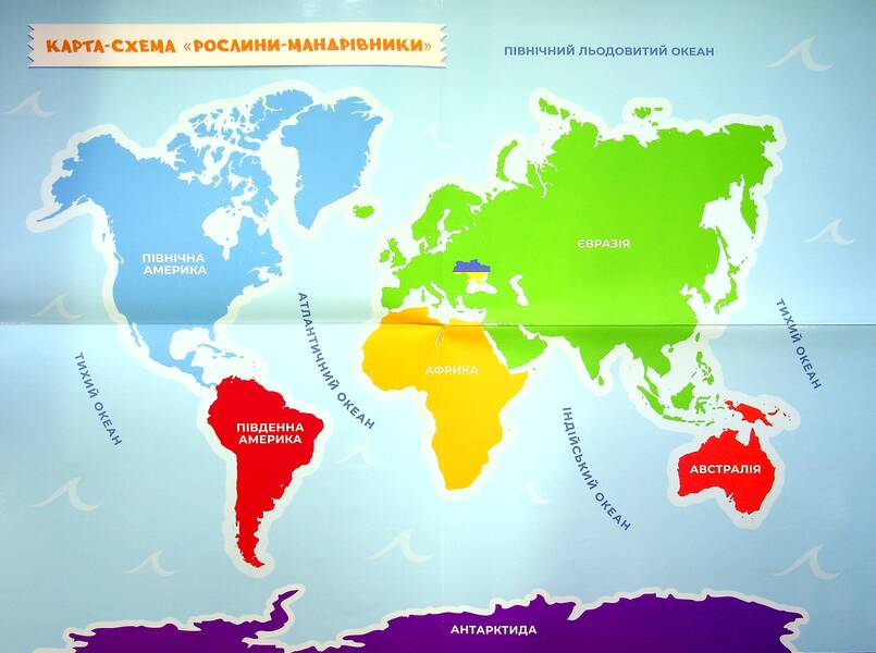 We explore the world of plants. A set of didactic materials. 3-4 classes / Досліджуємо світ рослин. Набір дидактичних матеріалів. 3-4 класи Татьяна Водолазская, Анна Заставская, Юлия Штанько 4823076149703-5