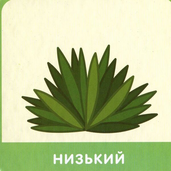 We learn and play. Opposites / Вчимося та граємо. Протилежності  9789669726872-4