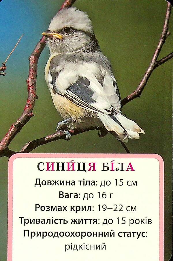 We study air and its properties. A set of didactic materials. 3-4 classes / Досліджуємо повітря та його властивості. Набір дидактичних матеріалів. 3-4 класи Татьяна Водолазская, Анна Заставская, Юлия Штанько 4823076149710-4