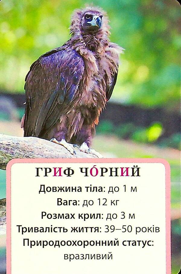 We study air and its properties. A set of didactic materials. 3-4 classes / Досліджуємо повітря та його властивості. Набір дидактичних матеріалів. 3-4 класи Татьяна Водолазская, Анна Заставская, Юлия Штанько 4823076149710-5
