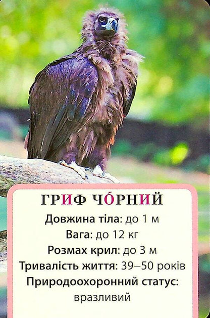 We study air and its properties. A set of didactic materials. 3-4 classes / Досліджуємо повітря та його властивості. Набір дидактичних матеріалів. 3-4 класи Татьяна Водолазская, Анна Заставская, Юлия Штанько 4823076149710-5