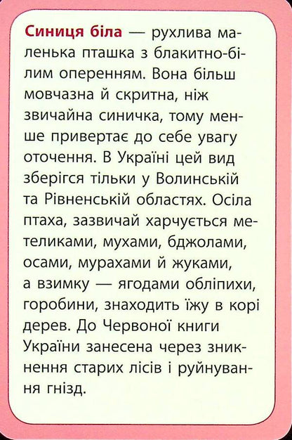 We study air and its properties. A set of didactic materials. 3-4 classes / Досліджуємо повітря та його властивості. Набір дидактичних матеріалів. 3-4 класи Татьяна Водолазская, Анна Заставская, Юлия Штанько 4823076149710-6