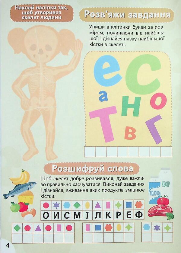 We study body structure 6+ / Вивчаємо будову тіла 6+  4827476988054-5